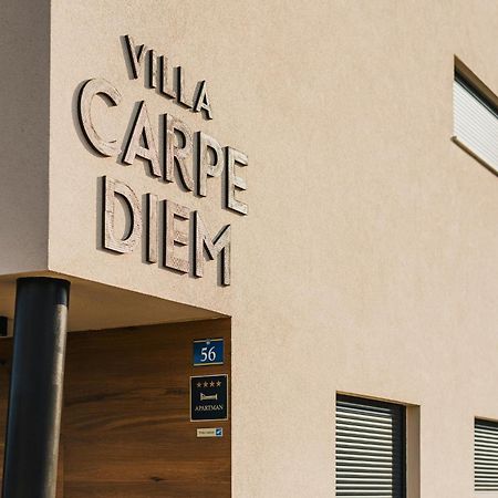 Villa Carpe Diem Cepljani 外观 照片