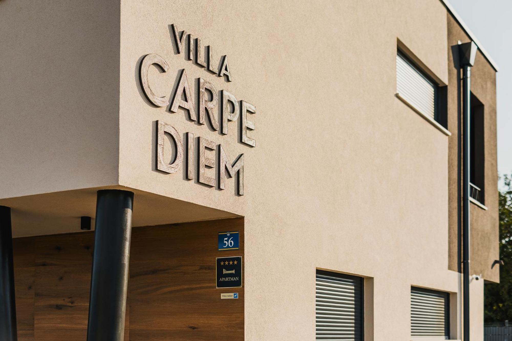 Villa Carpe Diem Cepljani 外观 照片